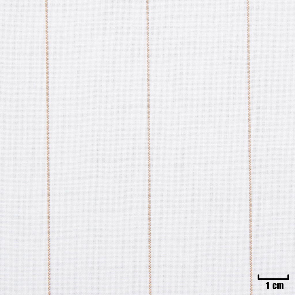 [107509] WHITE, KHAKI STRIPES