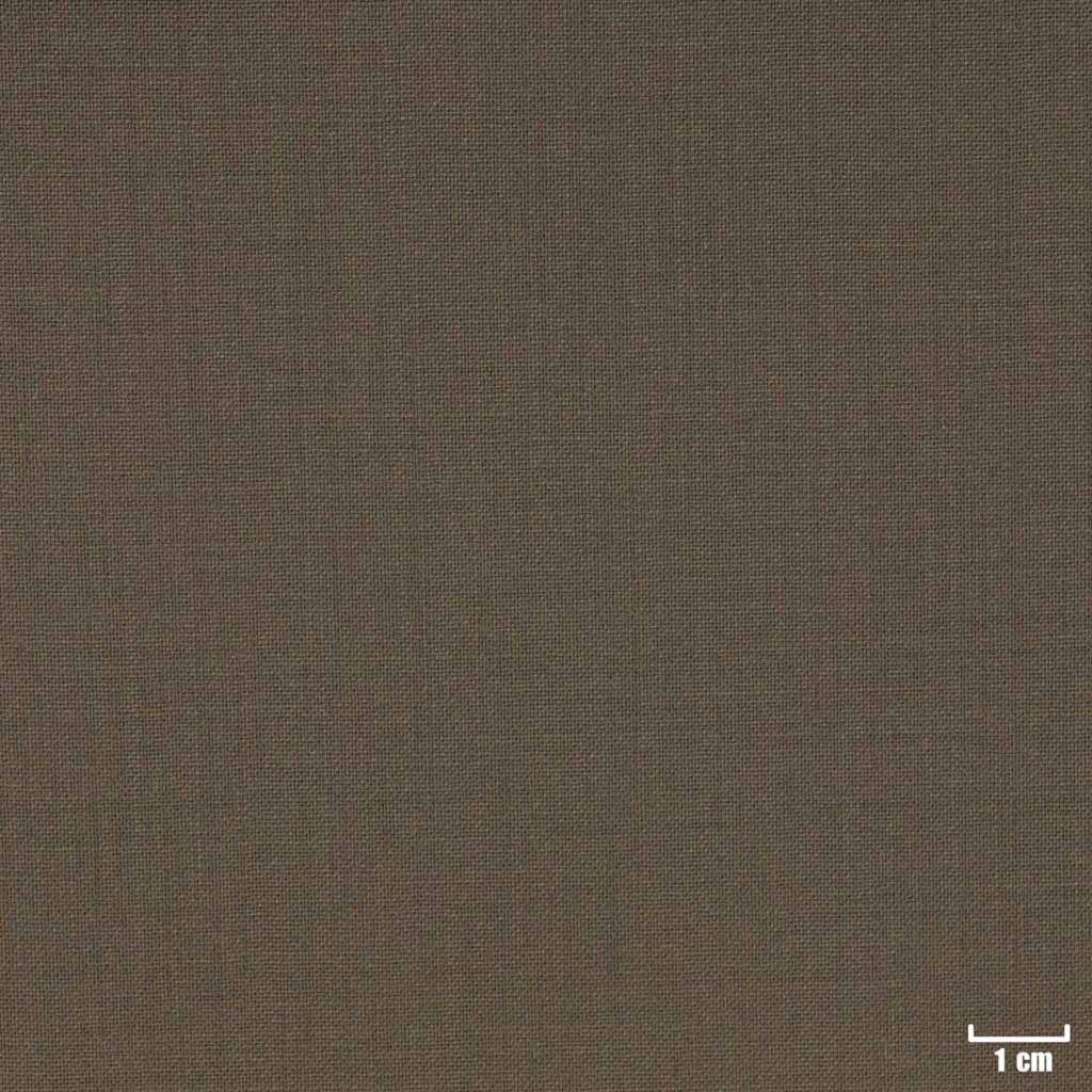 [209961] LIGHT BROWN, PLAIN
