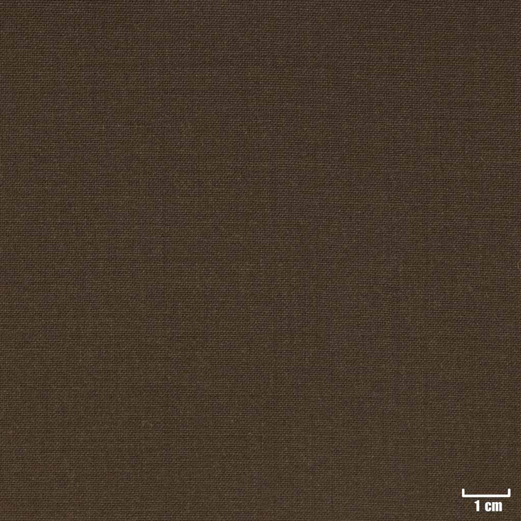 [209962] BROWN, PLAIN