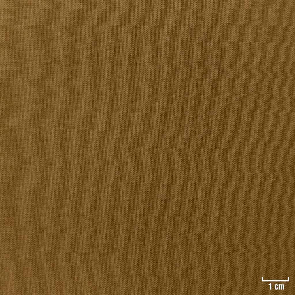 LIGHT BROWN, PLAIN