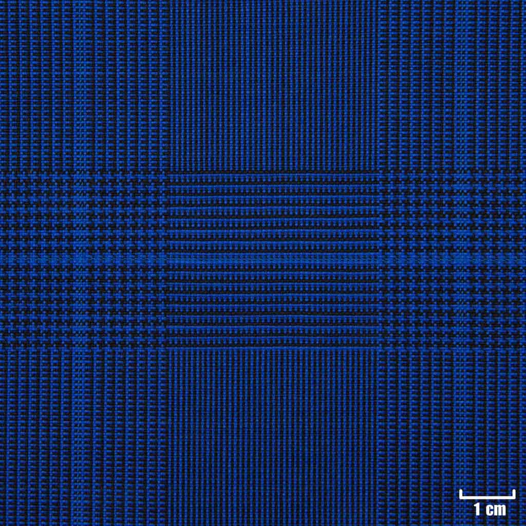 [223505] BLUE, CHECKS