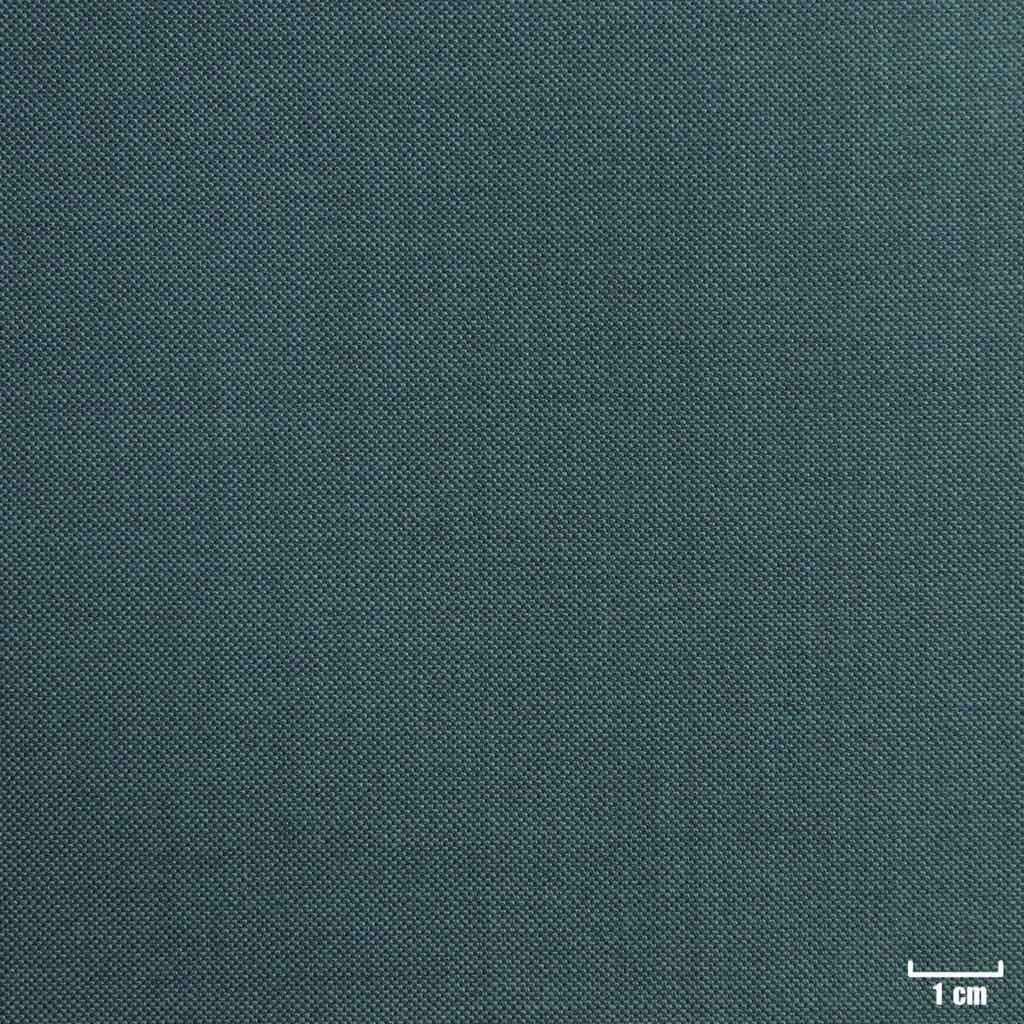 DARK TURQUOISE, 鲨鱼纹