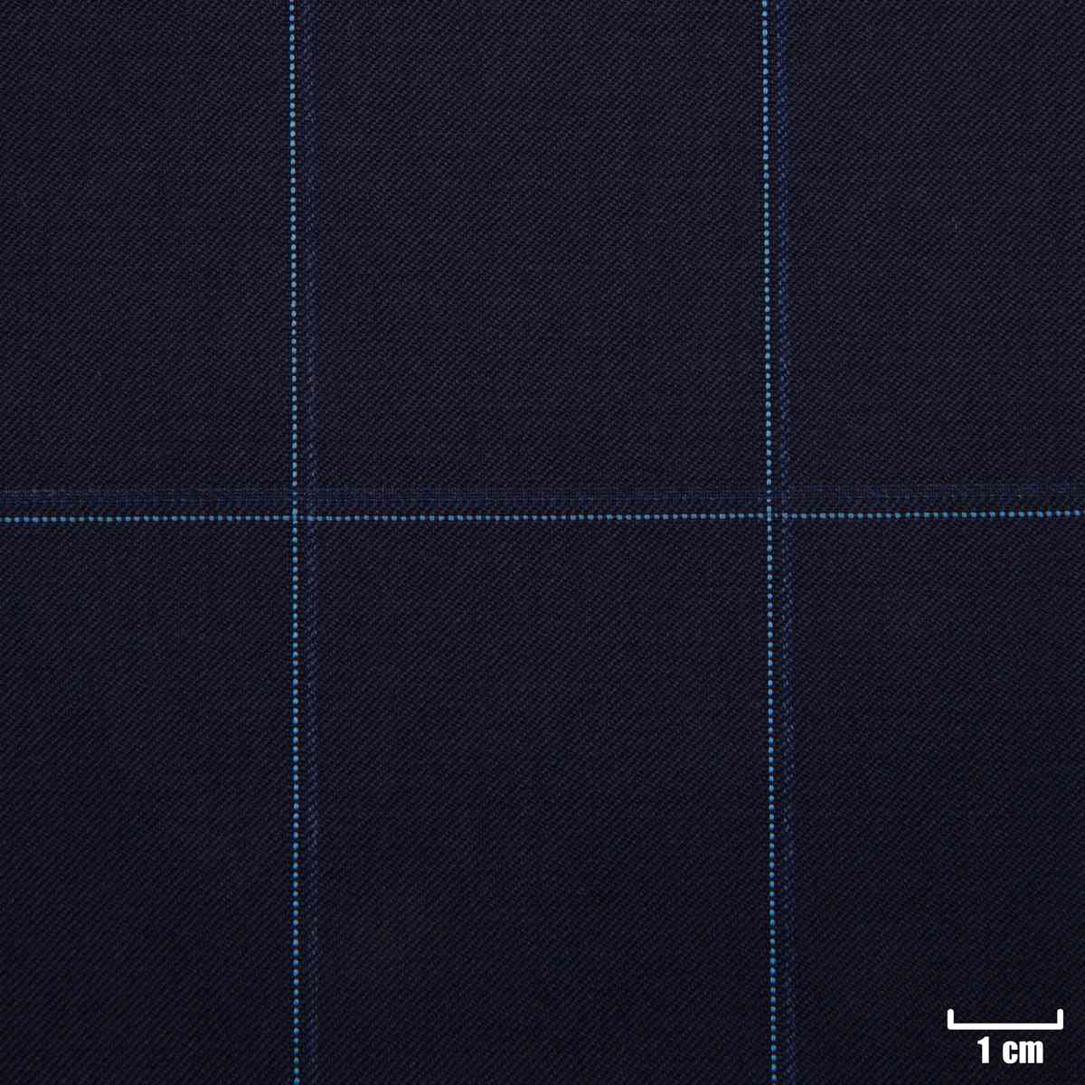 NAVY,CHECKS