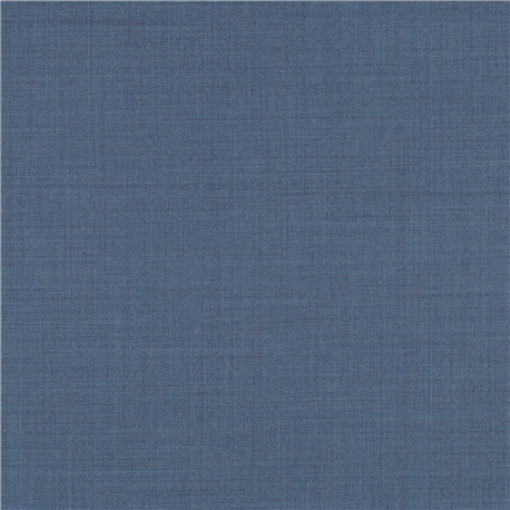 [610012] BLUE,PLAIN (101/12)