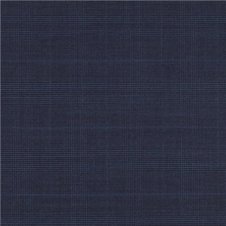 [610101] BLUE,CHECKS (102/01)