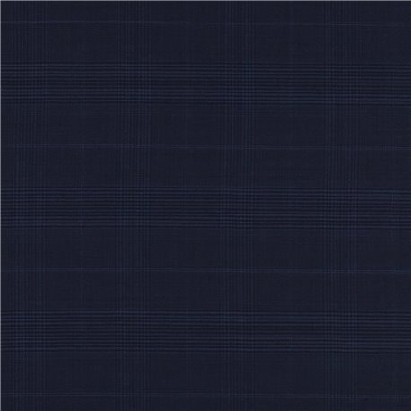 [610102] BLUE,CHECKS (102/02)