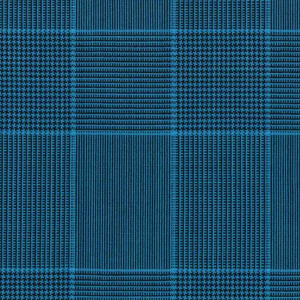 [316816] BLUE, BLUE CHECKS