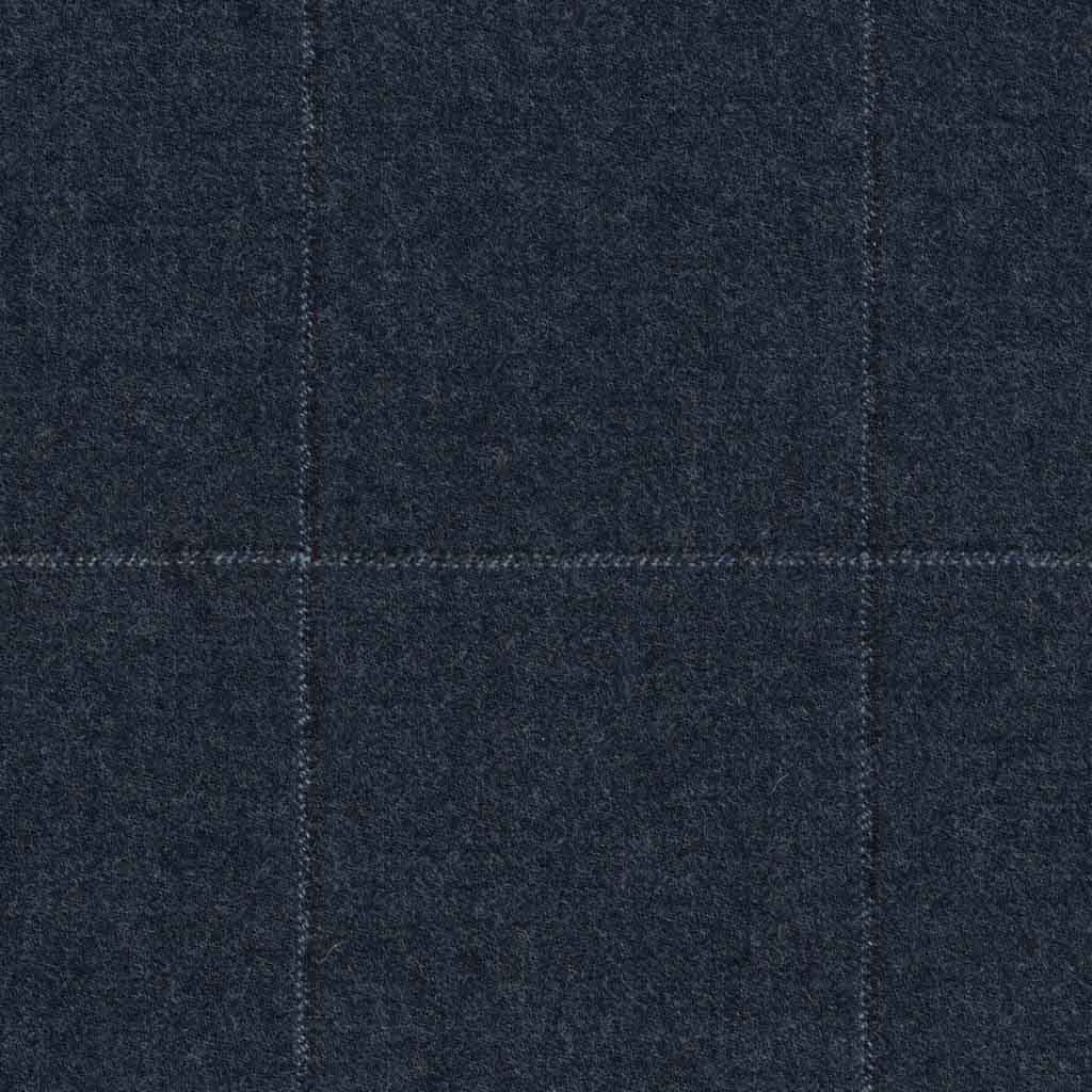 [317212] BLUE, CHECKS (DR# 68012)