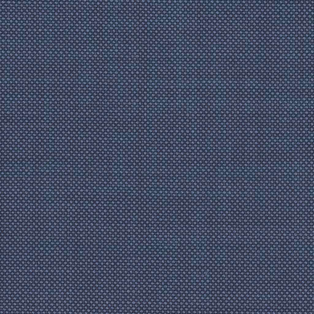 [317633] BLUE, BIRDEYE (DR# 12533)