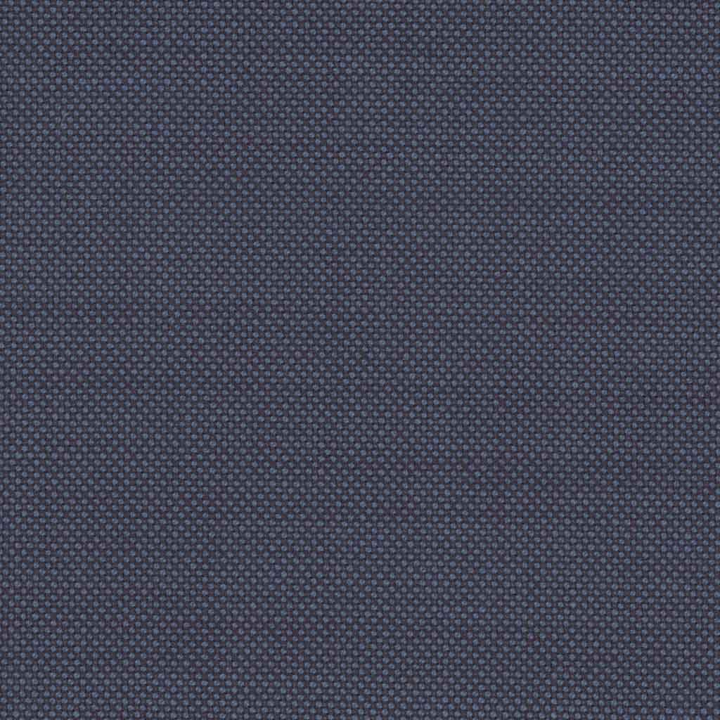 [317634] BLUE, BIRDEYE (DR# 12534)