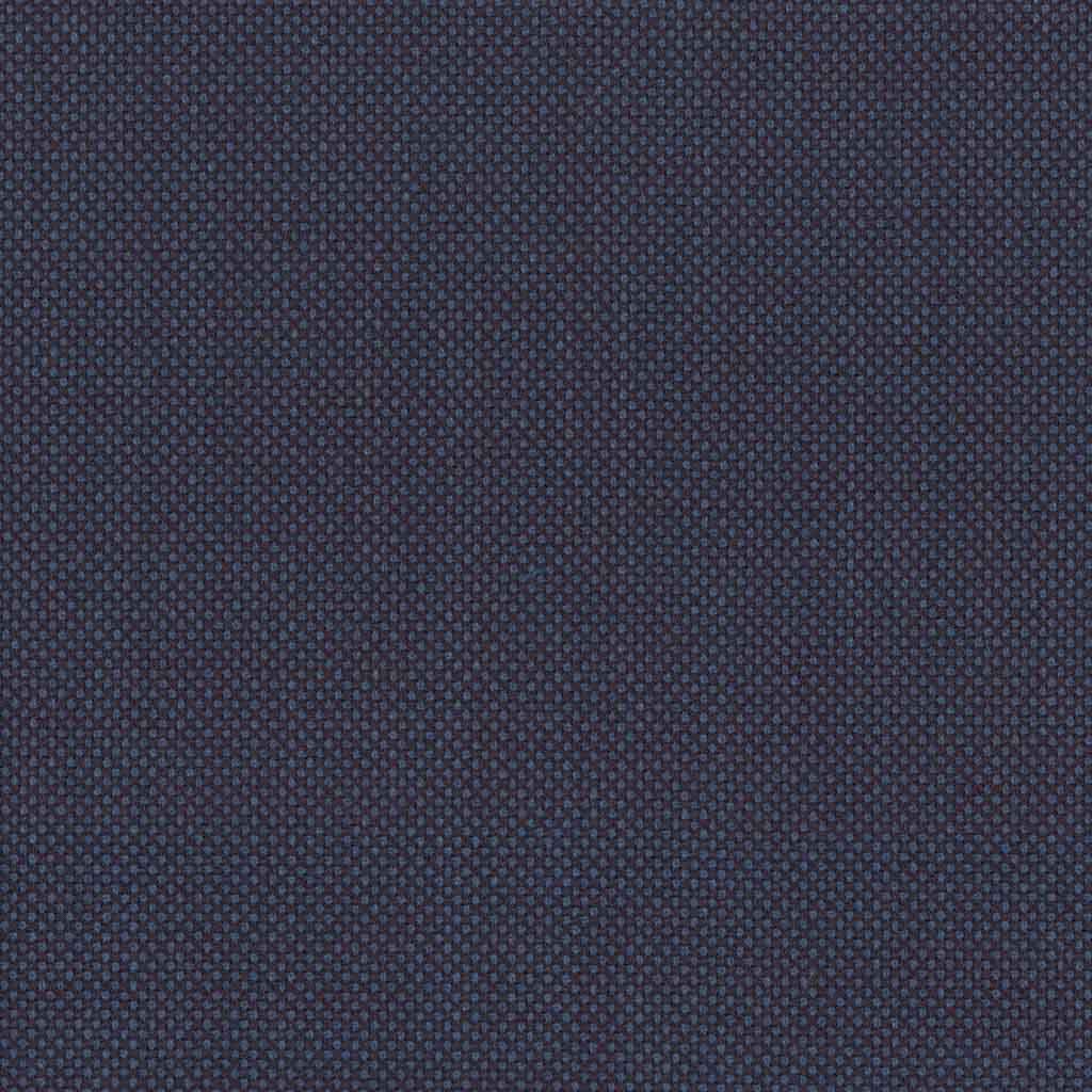 [317635] DARK BLUE, BIRDEYE (DR# 12535)