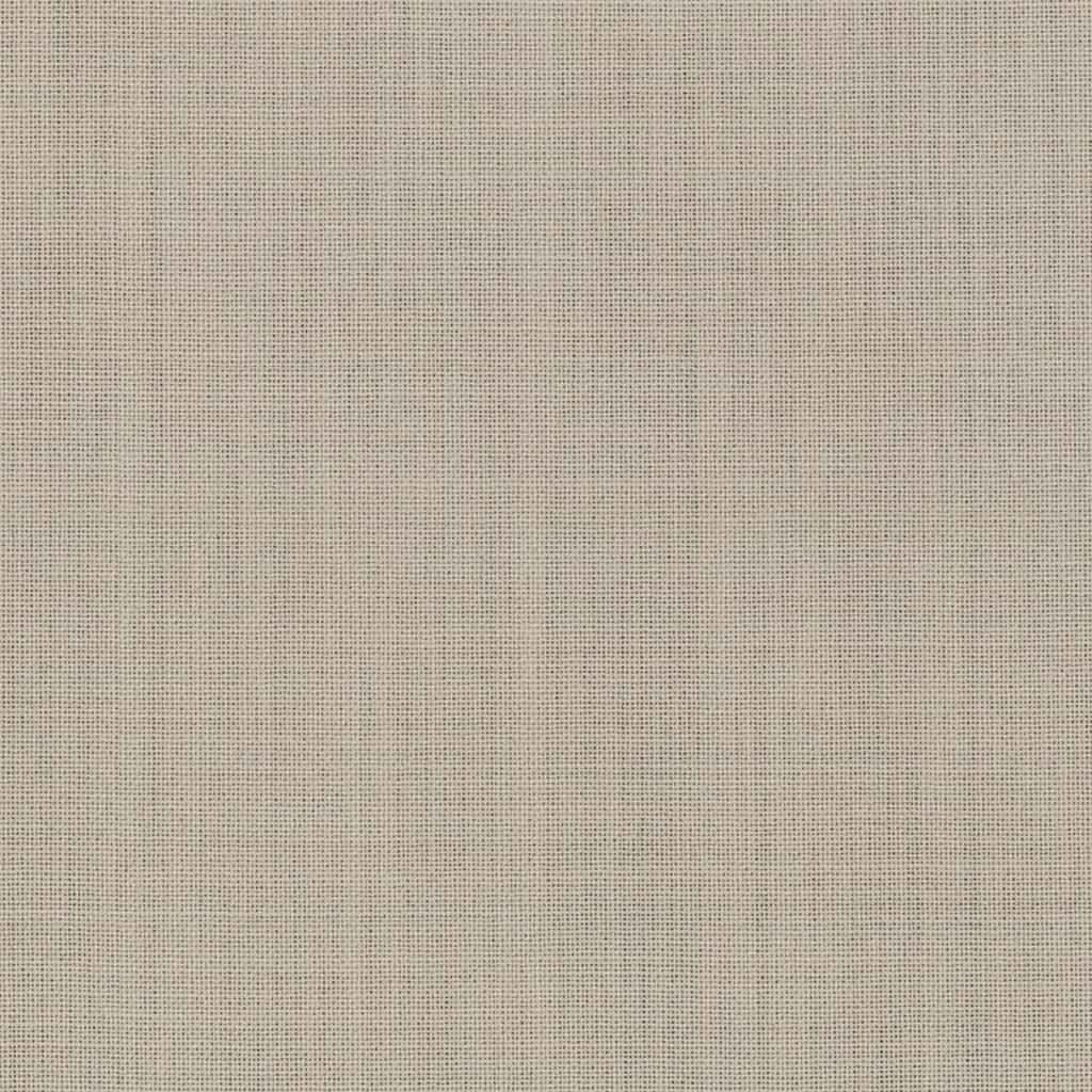 [317730] TAN, PLAIN (DR# 19031)