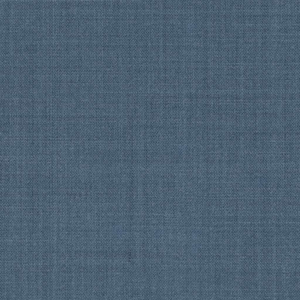 [317747] BLUE, PLAIN (DR# 19048)