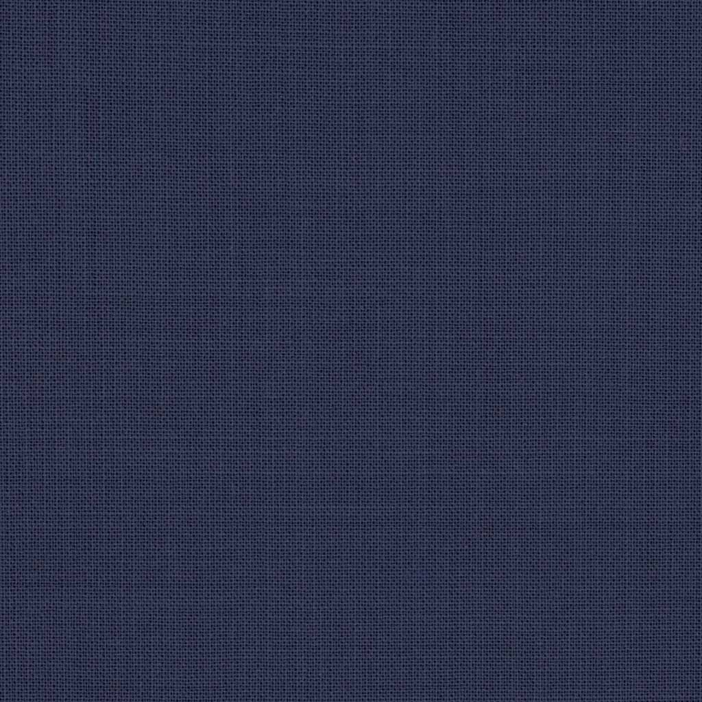 [317749] BLUE, PLAIN (DR# 19050)