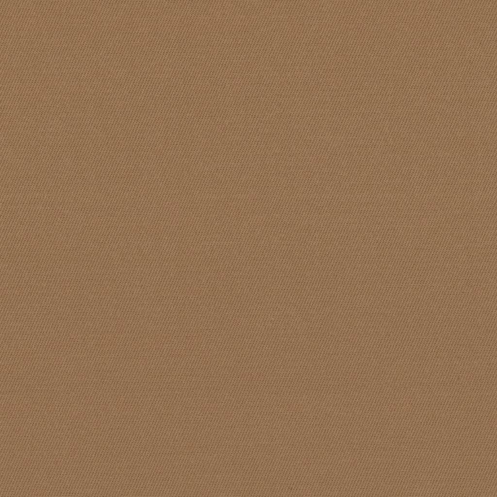 [317828] BROWN, PLAIN (DR# 25428)