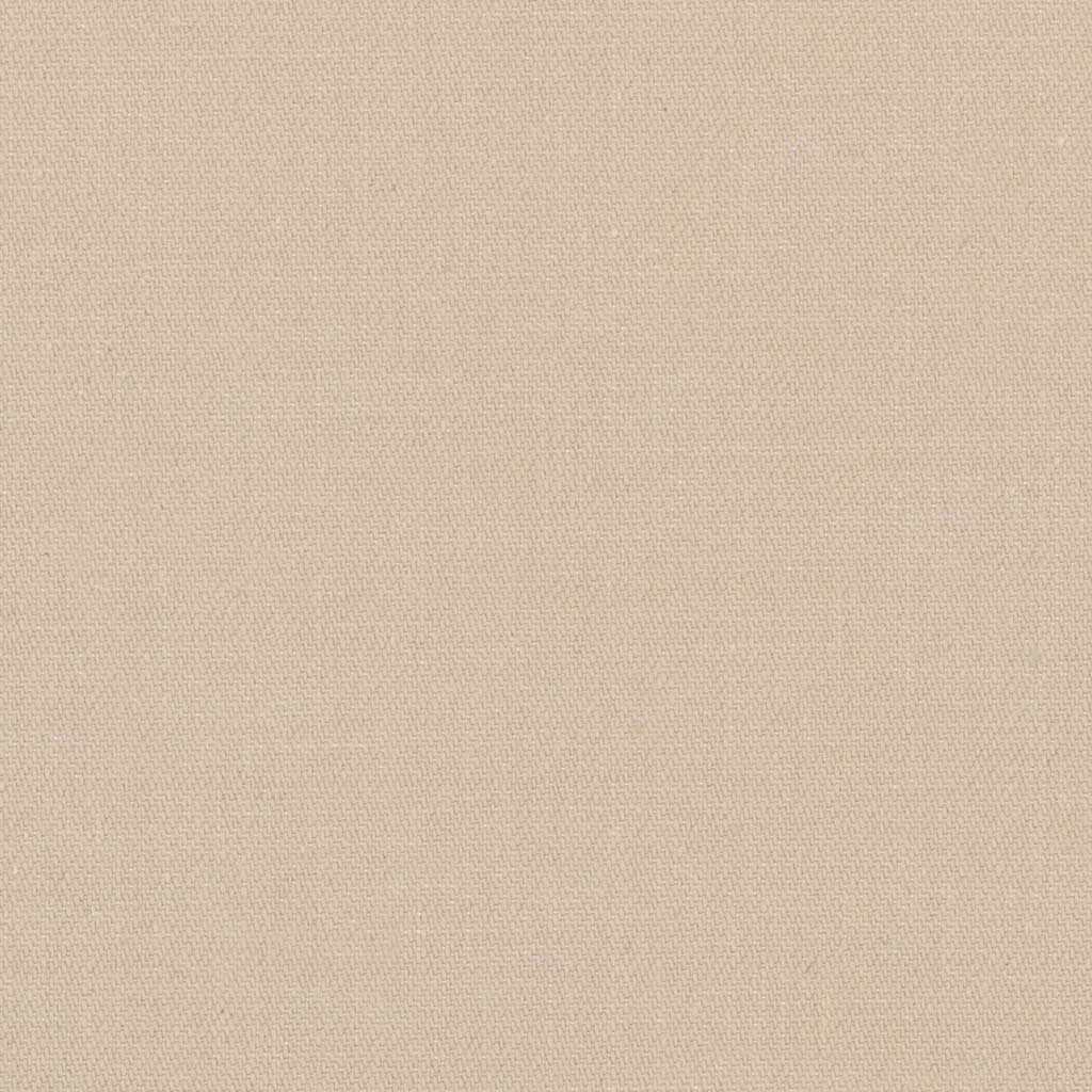 [317861] TAN, PLAIN (DR# 25461)