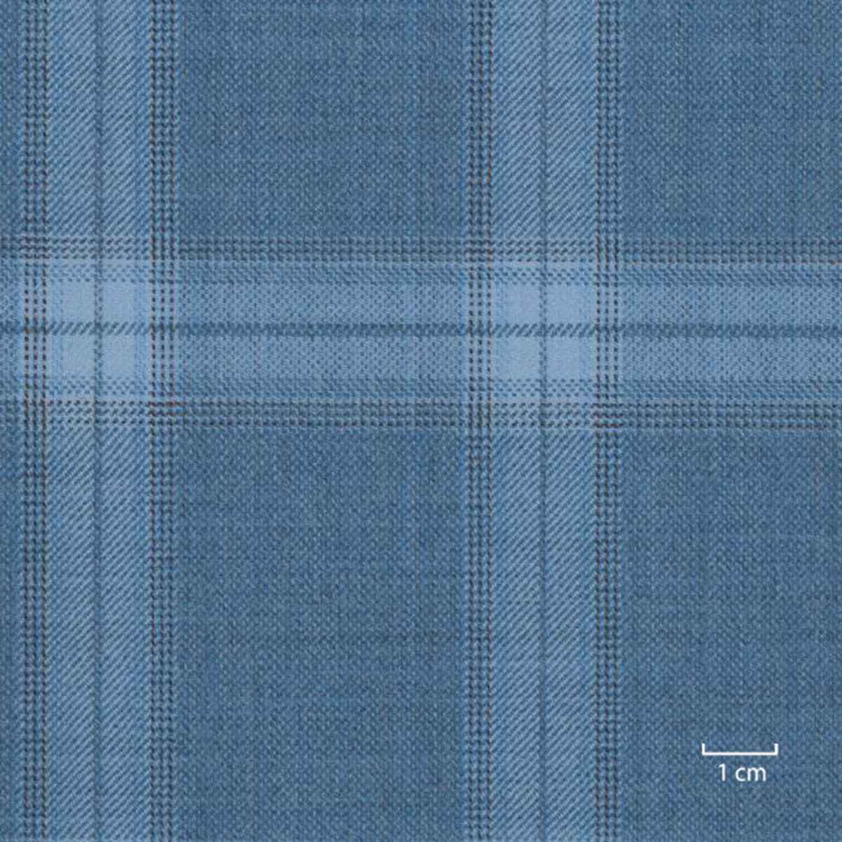 [317944] BLUE, CHECKS