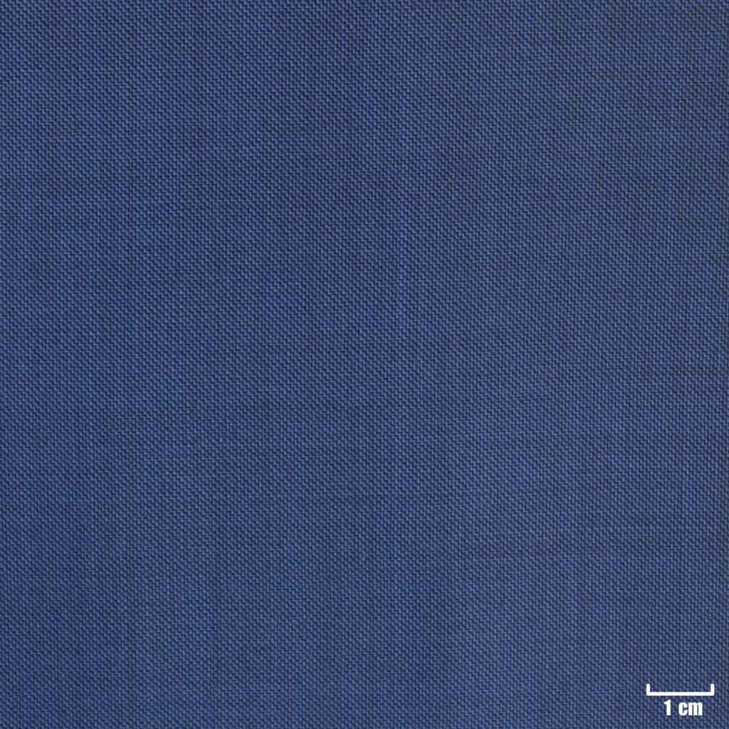 [318046] BLUE, PLAIN (DR# 60046)