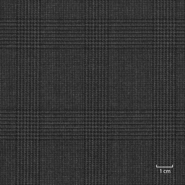 [318533] 灰色，黑色威尔士亲王格（DR# 10133）