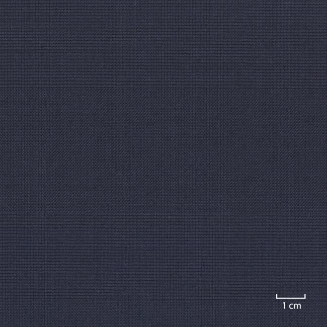 [318536] 蓝色，威尔士亲王格（DR# 10136）