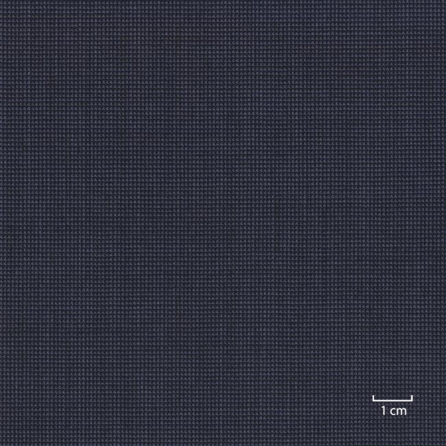 [318538] 蓝色，针点纹（DR# 10138）