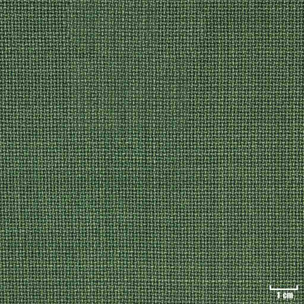 [318611] 浅绿色，篮纹（DR# 30111）