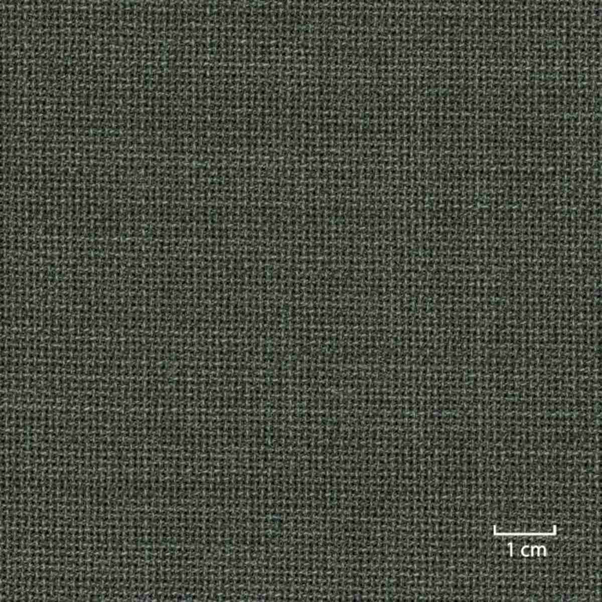 [318612] 绿色，篮纹（DR# 30112）