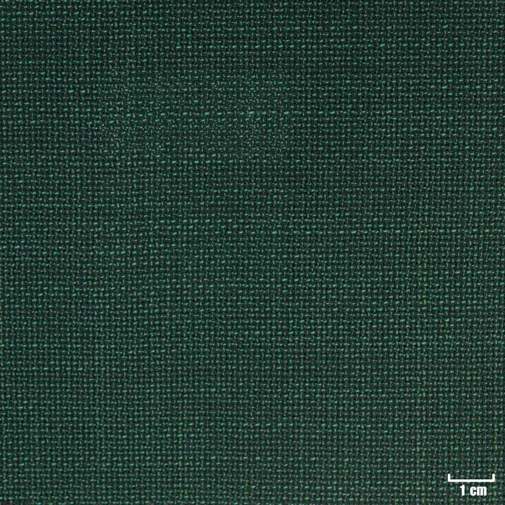 [318614] 深绿色，篮纹（DR# 30114）
