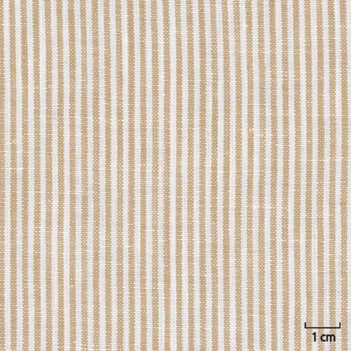 [318803] 黄色条纹（DR# 25103）