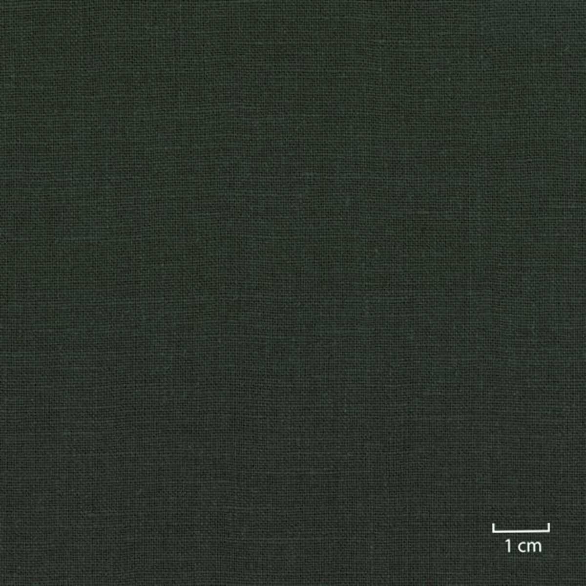 [318813] 绿色素色（DR# 25113）