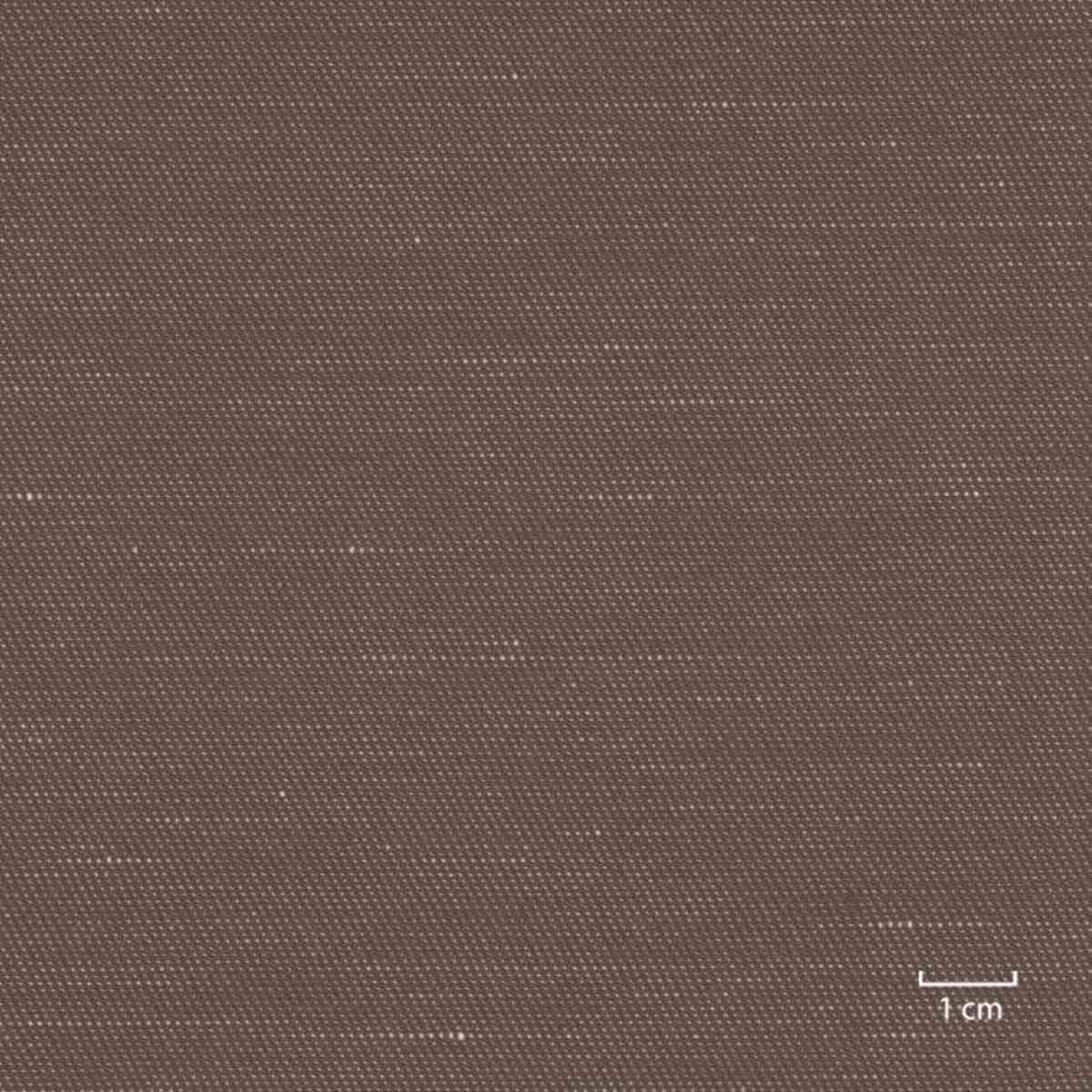 [318951] 棕色素色