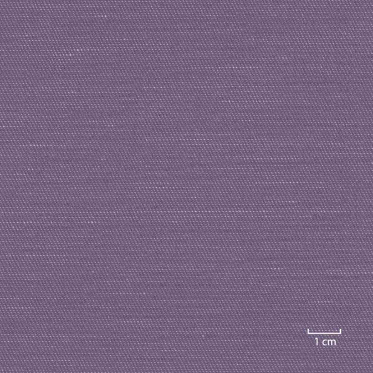 [318954] 紫色素色