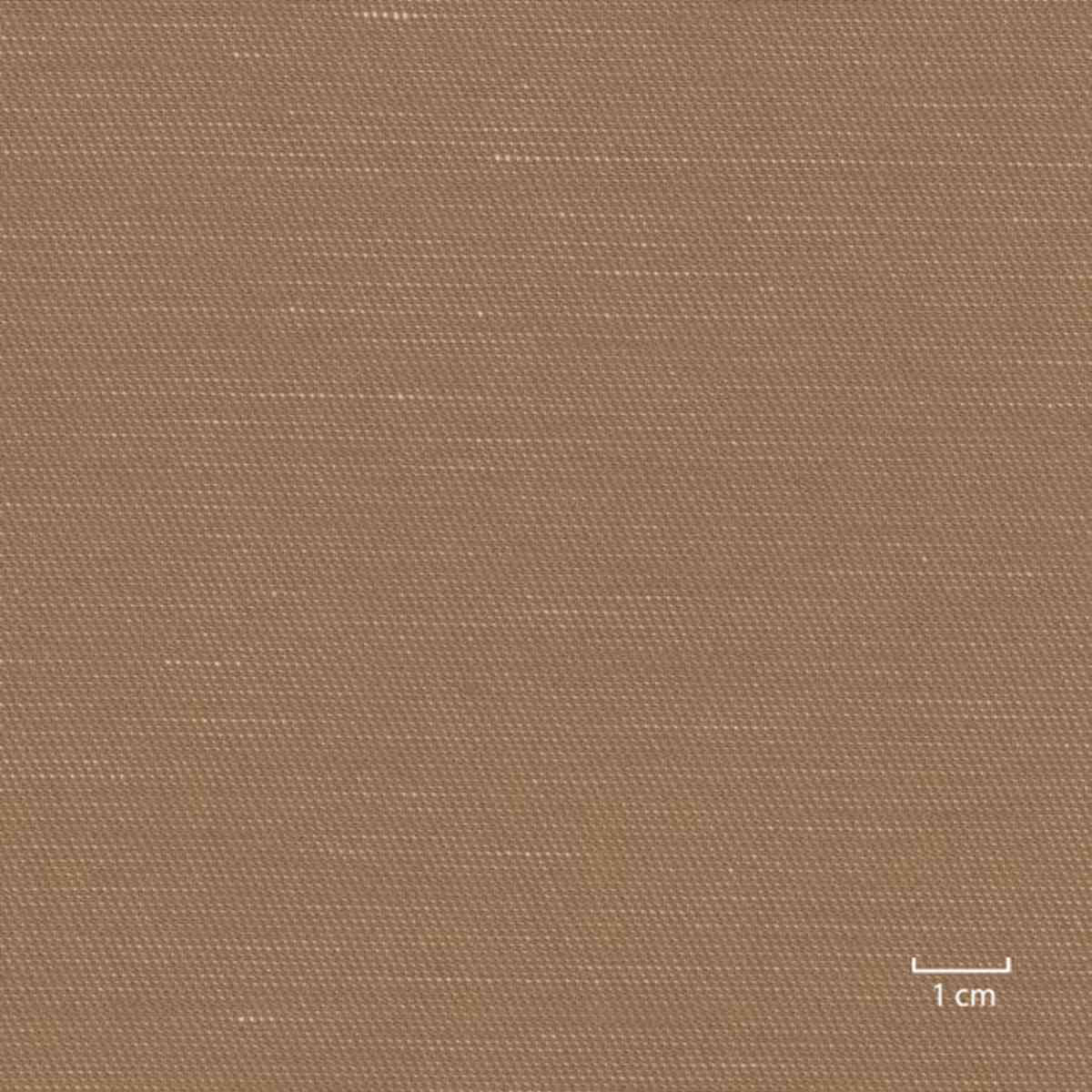 [318956] 驼色素色