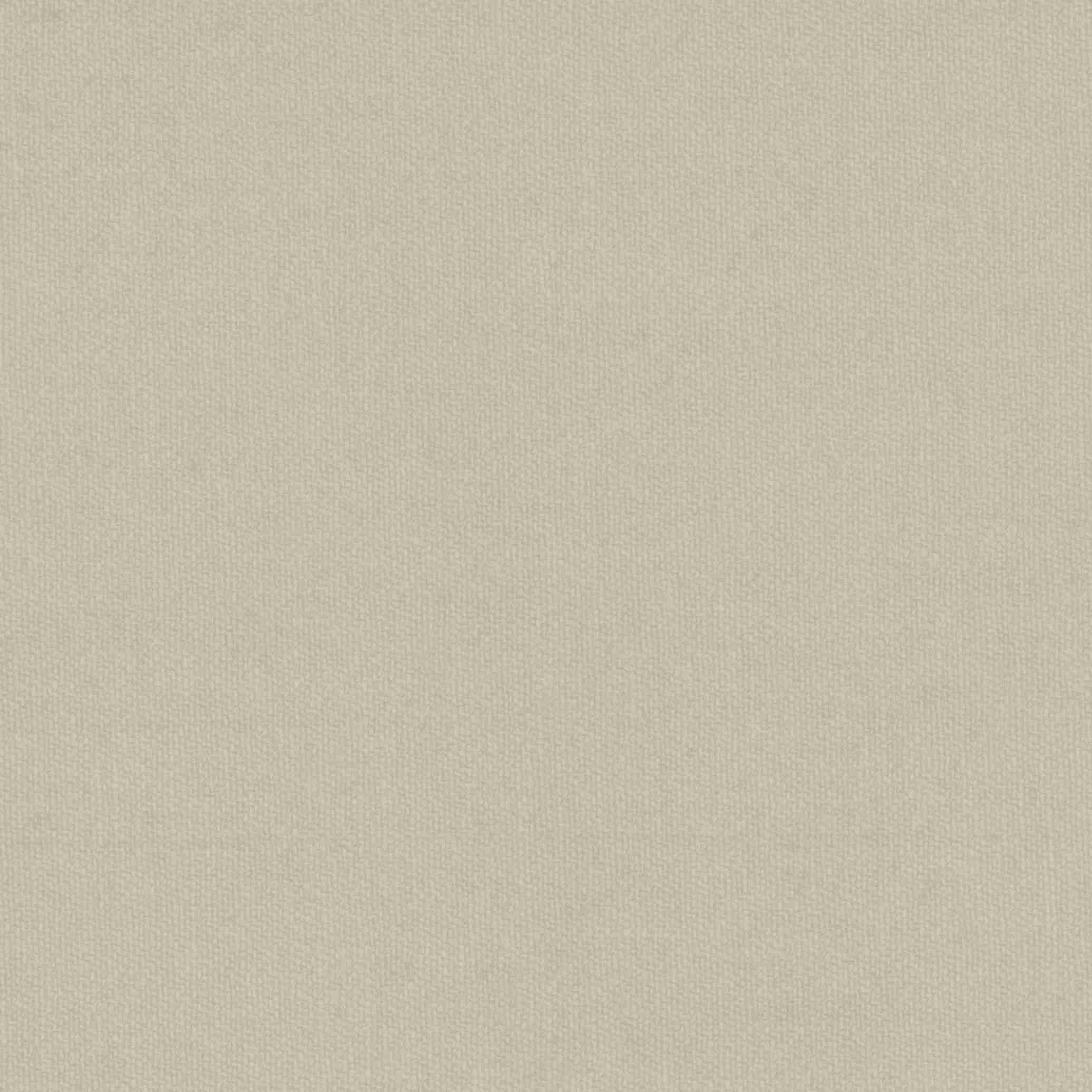 [319059] 卡其色素色（DR# 70159）