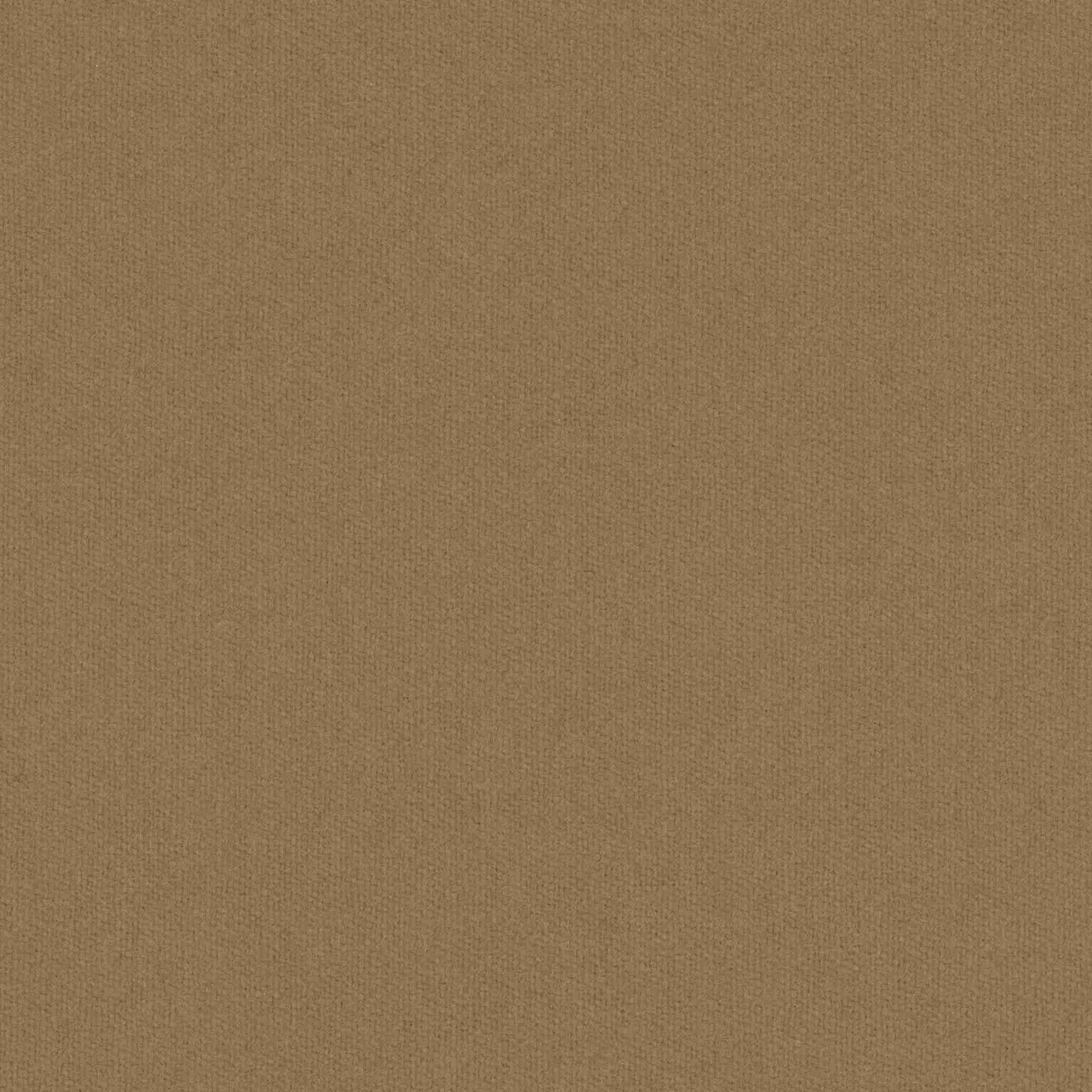 [319060] 驼色素色（DR# 70160）