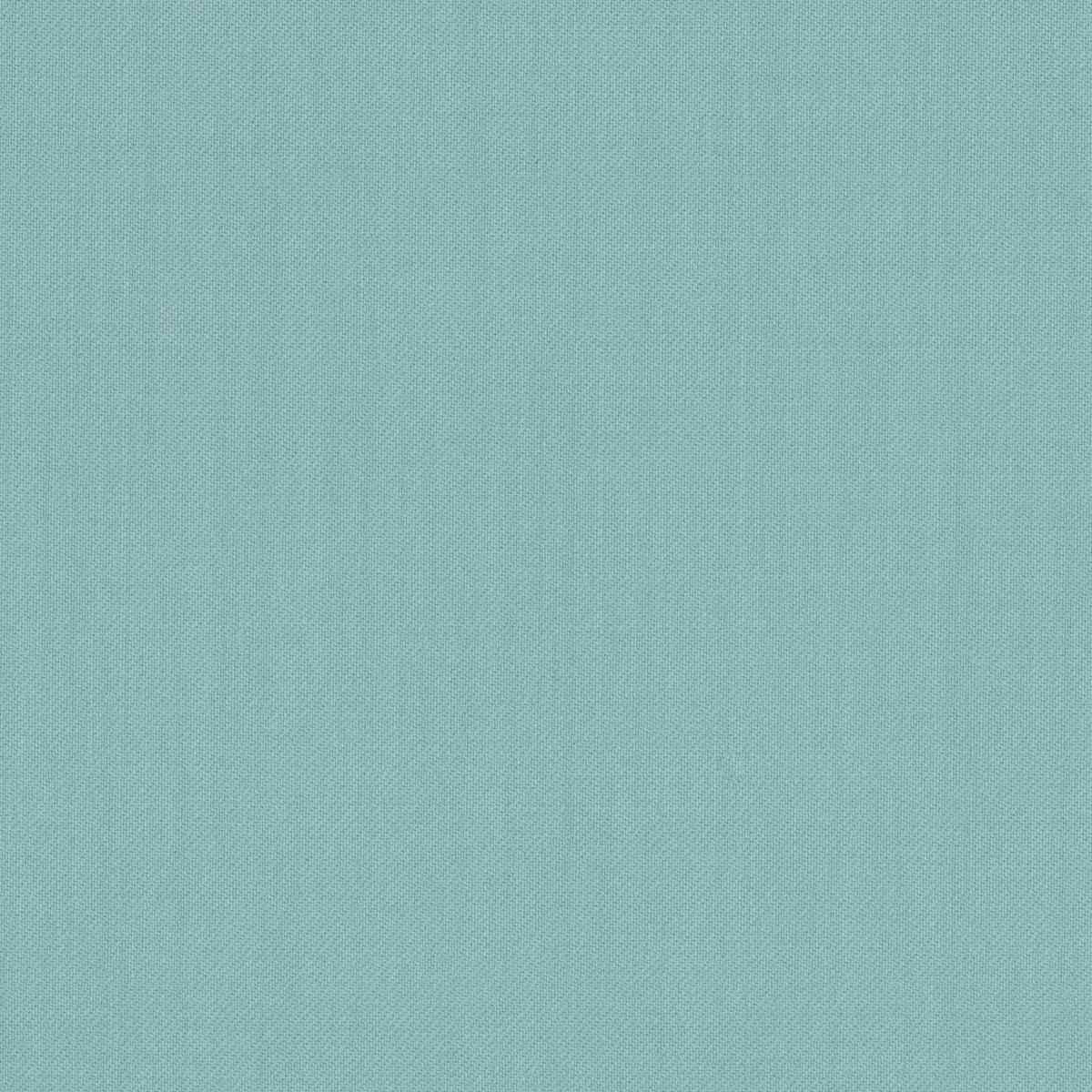 [319208] 浅绿松石色素色（DR# 14008）