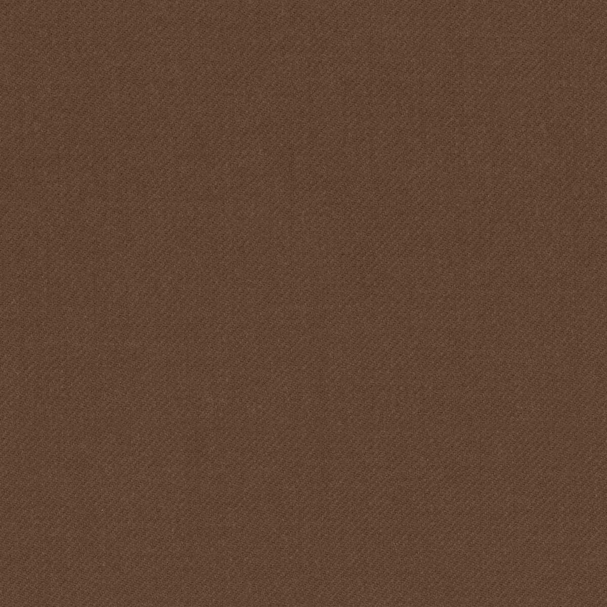 [319355] 棕色素色（DR# 90355）