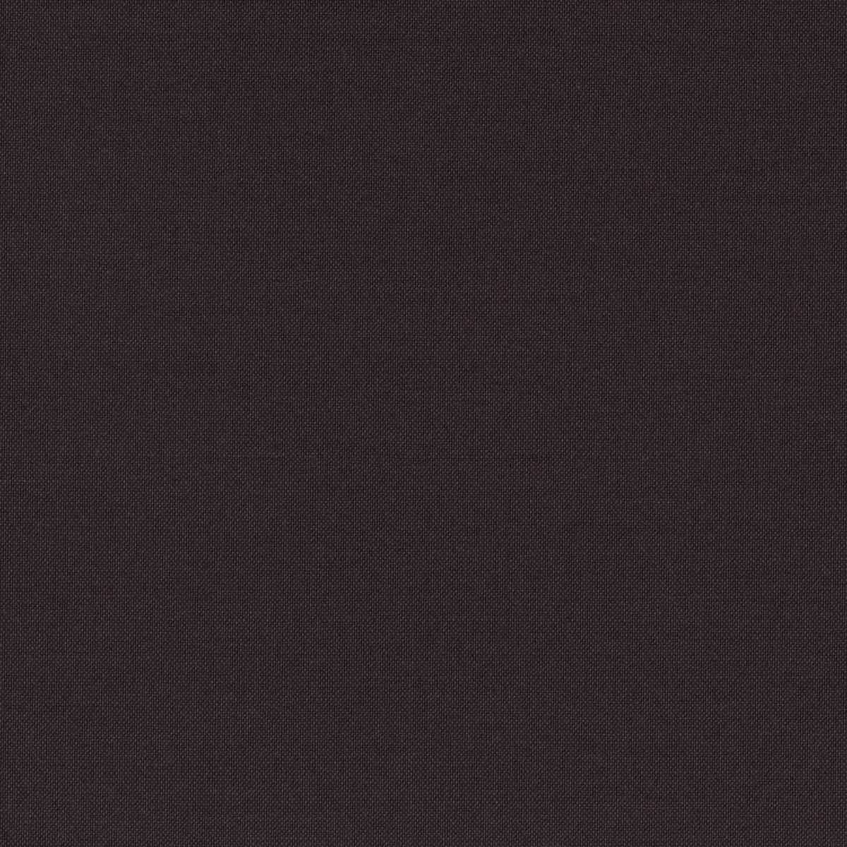 [319813] PURPLE VIOLET, PLAIN (DR# 15113)