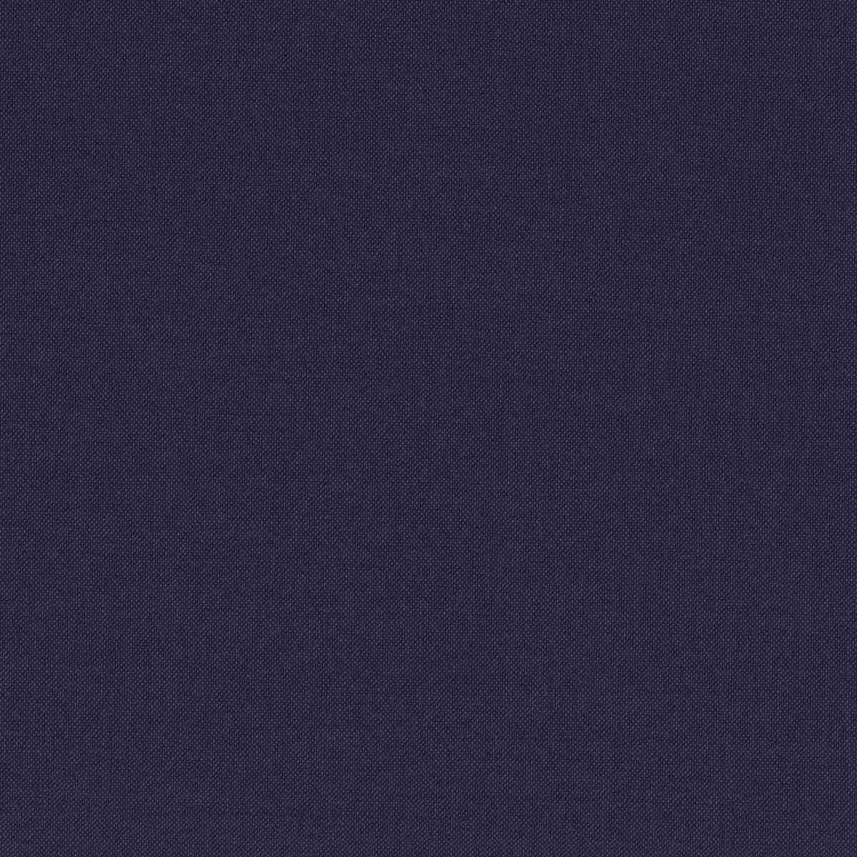 [319815] PURPLE, PLAIN (DR# 15115)