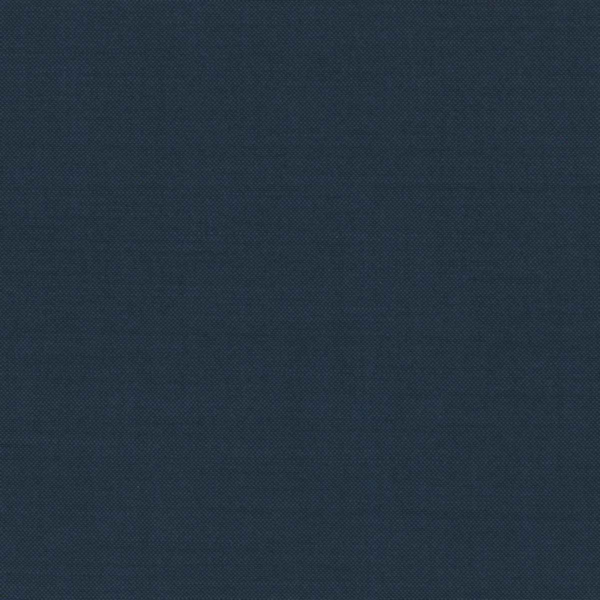 [319833] BLUE, PLAIN (DR# 15133)