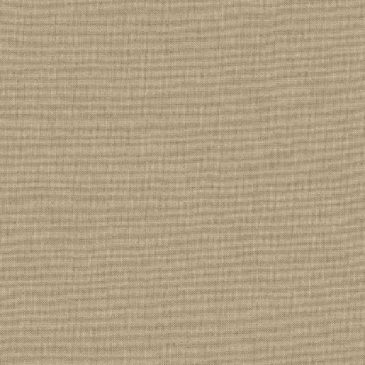 [319951] TAN, PLAIN (DR# 17052)
