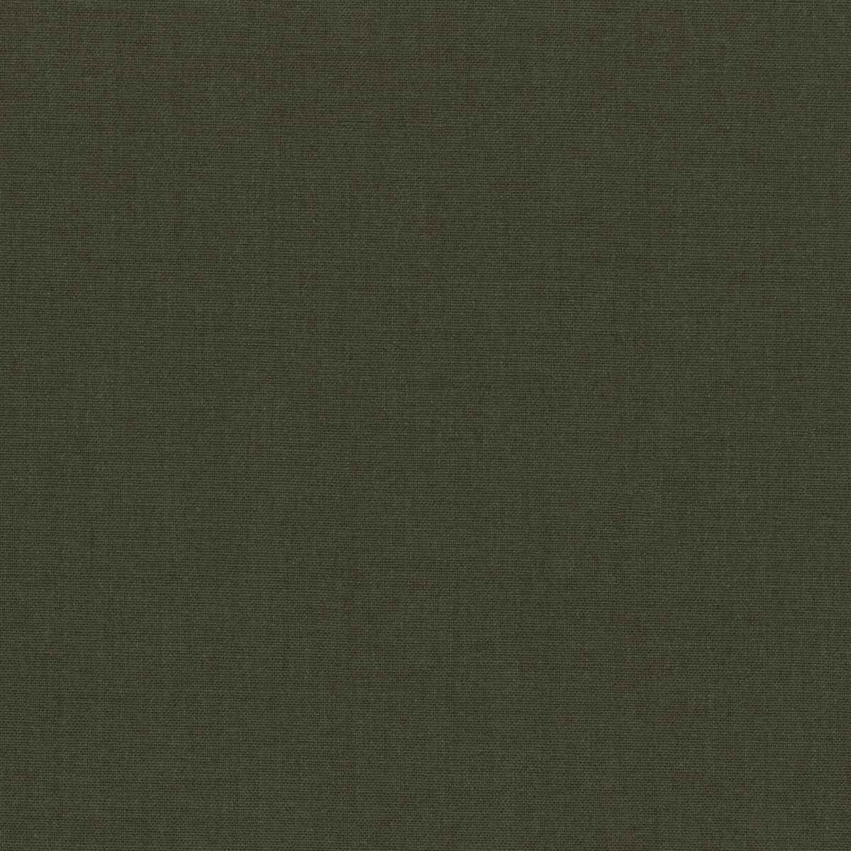 [319953] GREEN, PLAIN (DR# 17054)