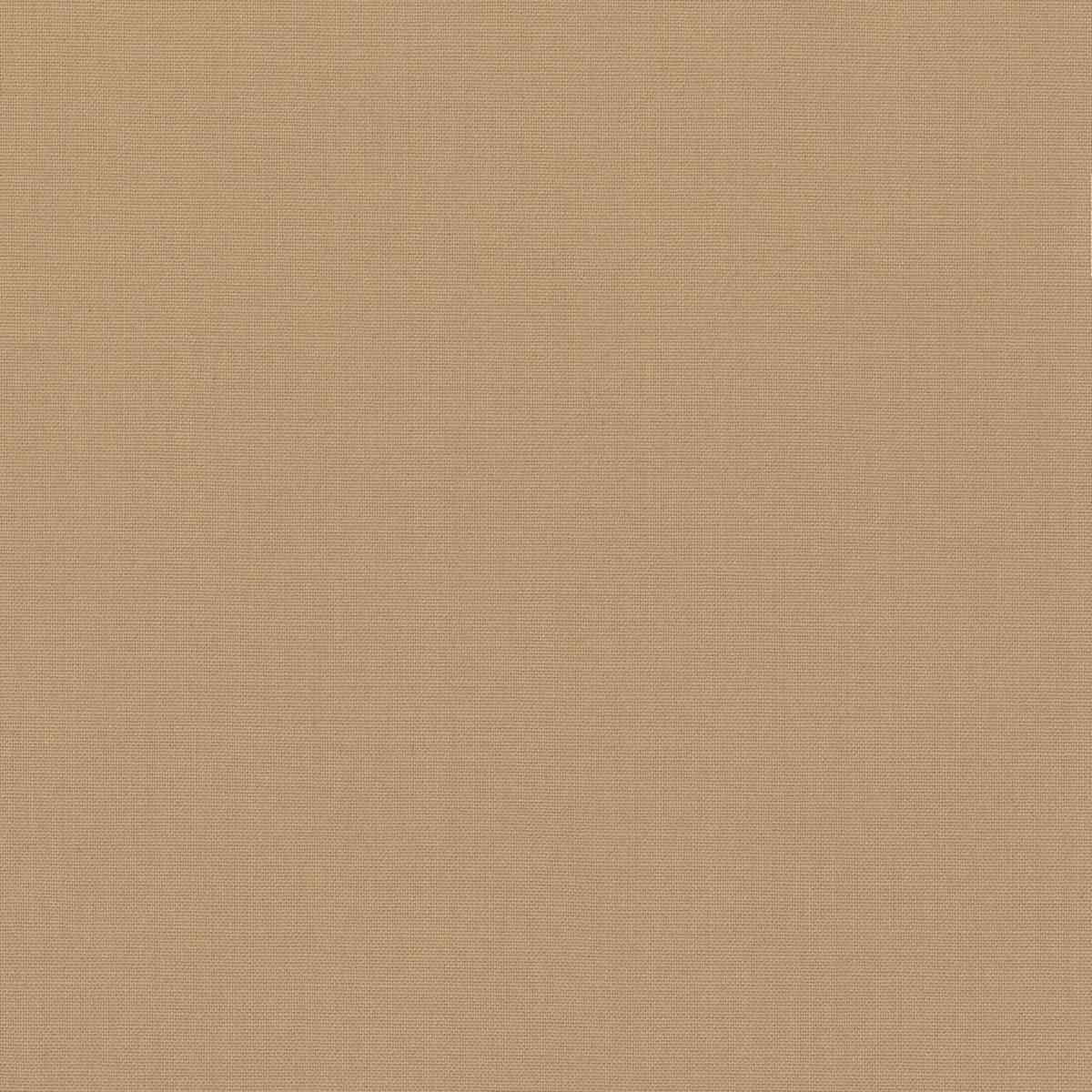 [319954] TAN, PLAIN (DR# 17055)