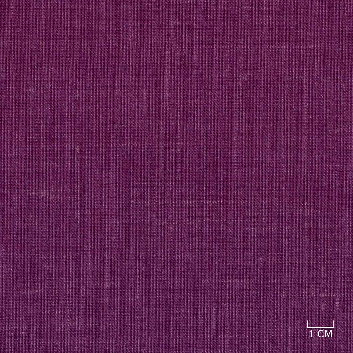 [320823] PURPLE, PLAIN