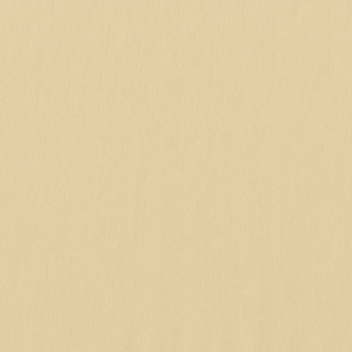 [321122] 浅黄色纯色