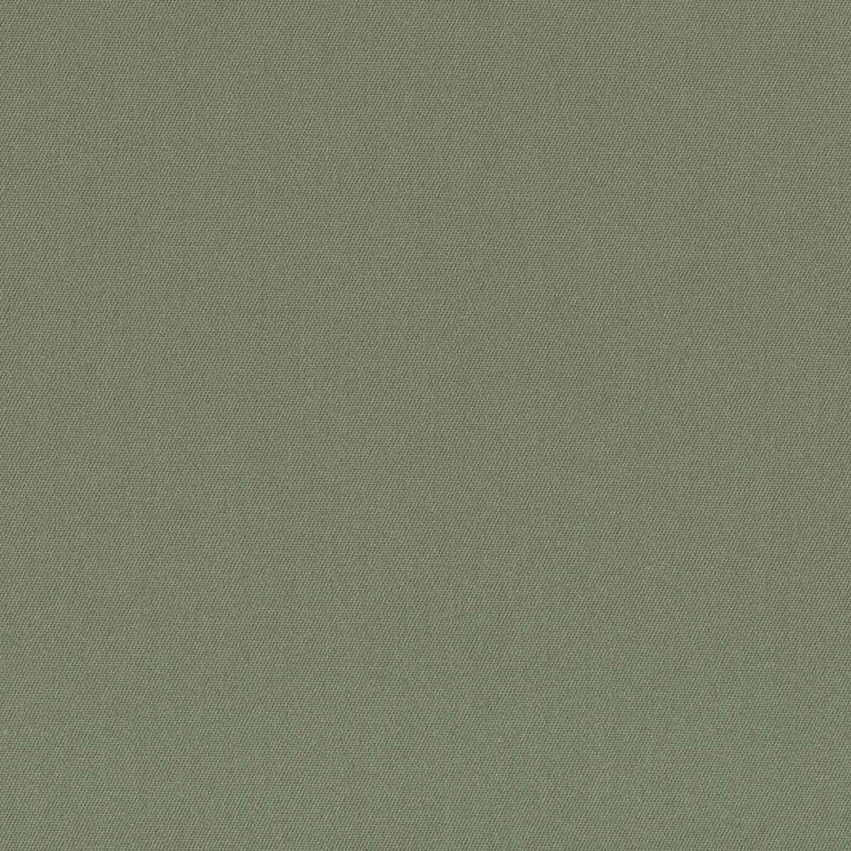 [321125] 绿色纯色