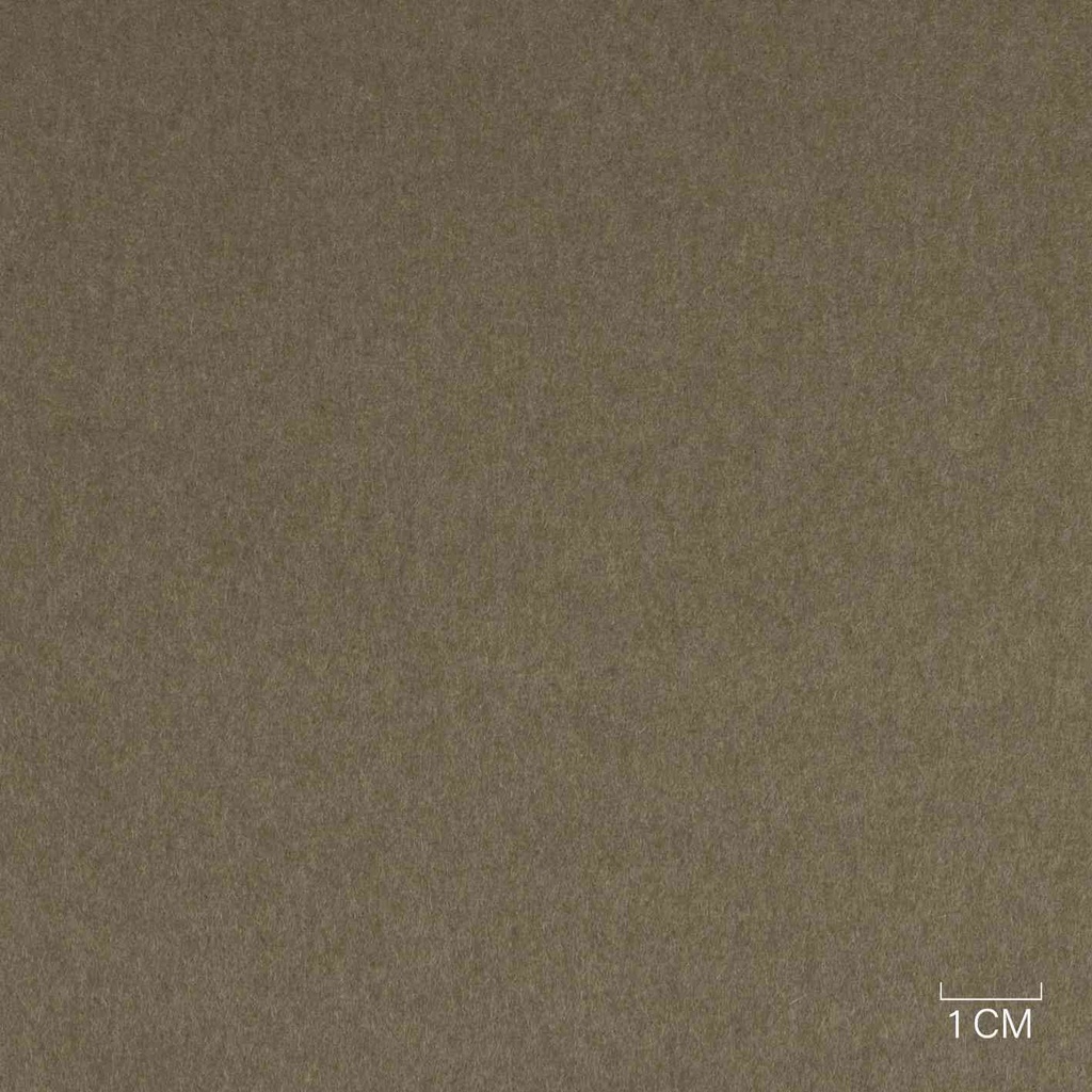 [353821] LIGHT BROWN, PLAIN (ST# 30016)