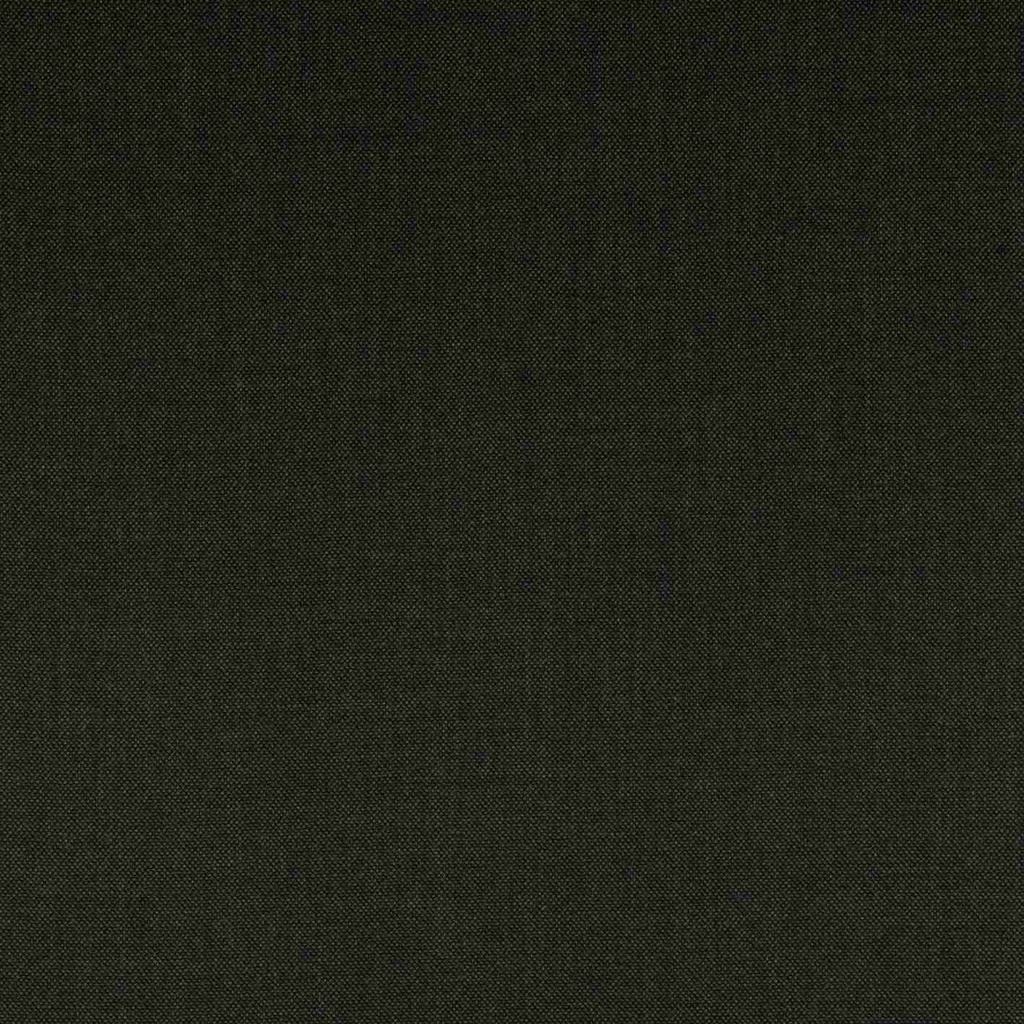[353950] BROWN, BIRDEYE (ST# 3113)