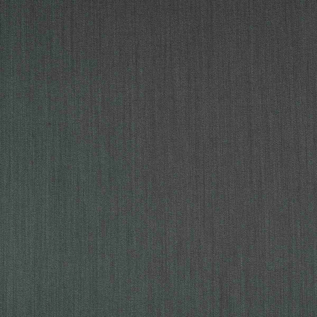[354263] GREY, BIRDEYE (ST# 24085)