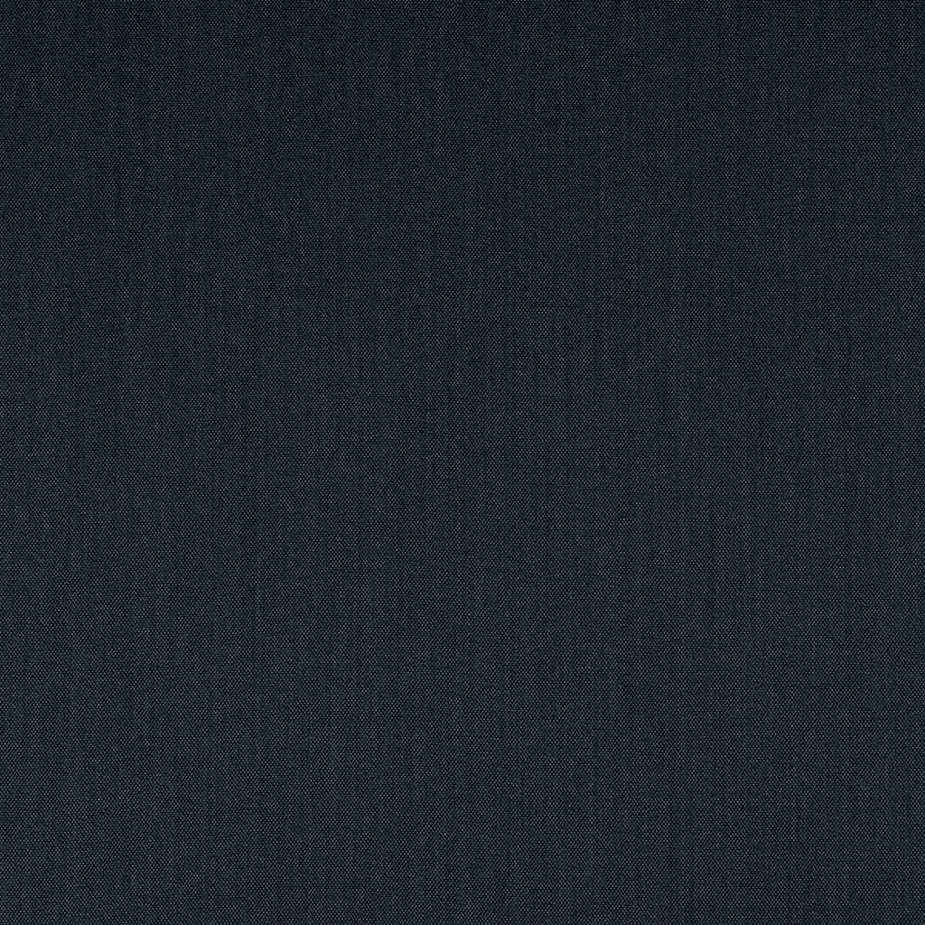 [354265] BLUE, BIRDEYE (ST# 24087)